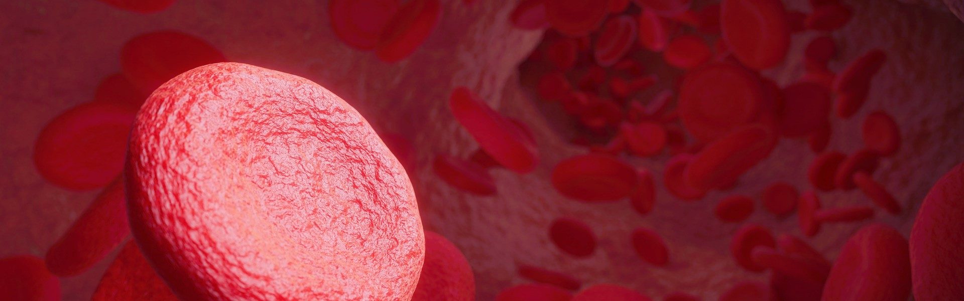 What Healthy Blood Cells Mean for Your Body… banner