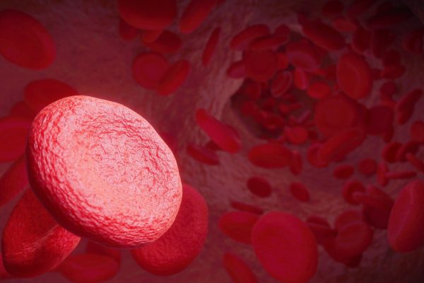 What Healthy Blood Cells Mean for Your Body… featured image