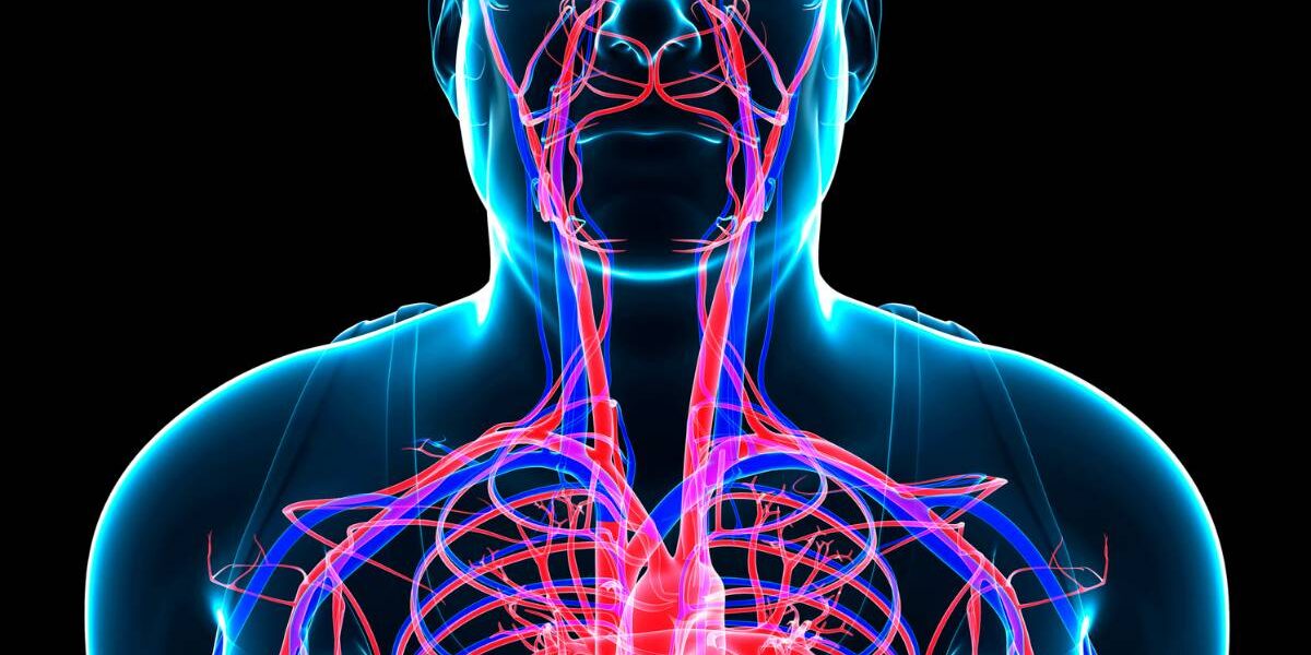 What is Vascular Testing? banner