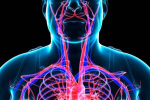 What is Vascular Testing? featured image