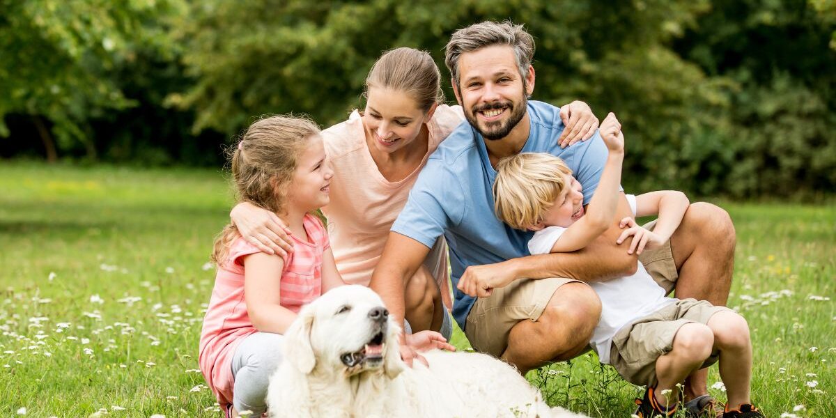 Spring Wellness Guide banner