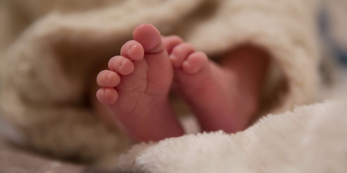 Essential Check-Ups and Care for Newborns banner